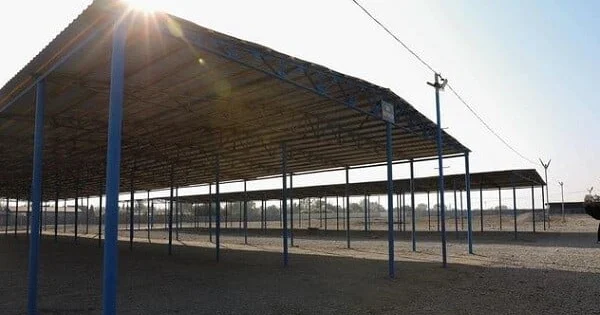 Mal bazarlarının fəaliyyəti bərpa edilir? Video