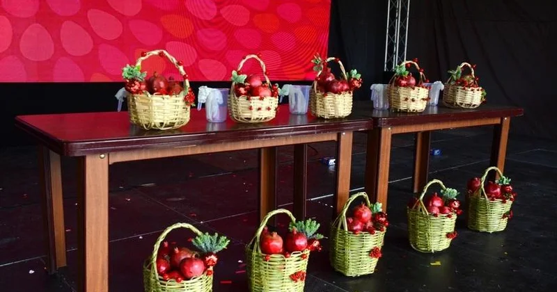 Göyçayda Nar Festivalı çərçivəsində Aqrar Biznes Festivalı keçirilib