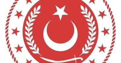 Минобороны Турции подтвердило гибель 20 военнослужащих (ФОТО)