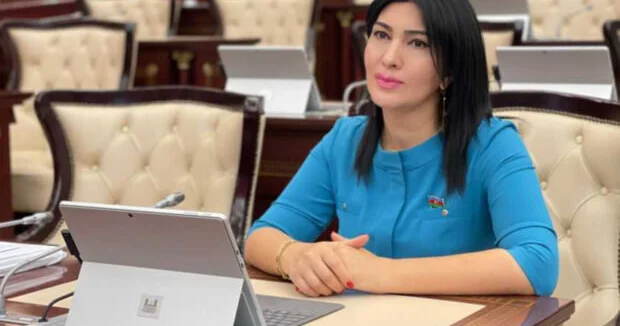 Deputat: Digər sahələrdə sözümüzü desək də, ədəbiyyatda bu fəthi qazana bilməmişik