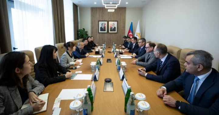 Şəmkirdə dəmir zavodu tikiləcək İlkin müzakirələr aparılıb