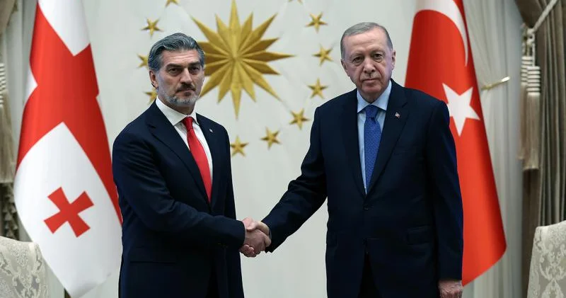 Ərdoğan Gürcüstan prezidenti ilə zəngləşdi Təyyarə qəzası ilə bağlı müzakirə apaırlıb