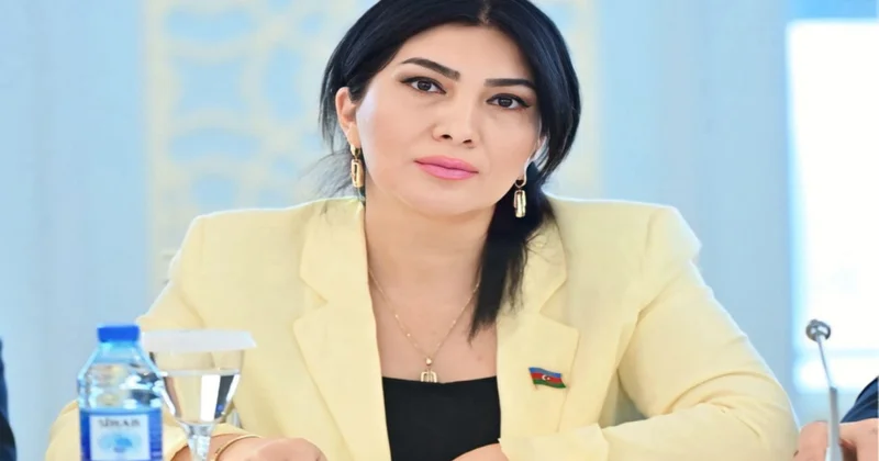 Elnarə Akimova: “Milli Ədəbiyyat Mükafatı təsis olunmalıdır”