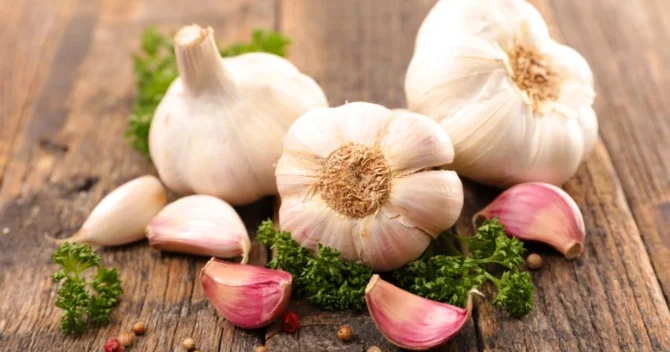 Sarımsaq həqiqətən də xərçəngdən qoruyur?