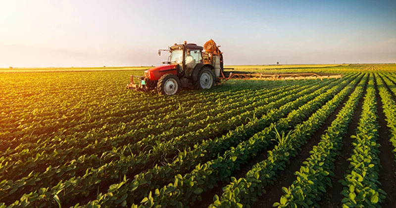 Avropa İttifaqı kənd təsərrüfatında ədalətli ticarət mühitinə dair yeni qaydalar qəbul edib