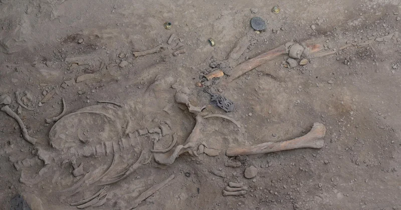 Археологи обнаружили в Казахстане захоронение воина VI века до н. э.