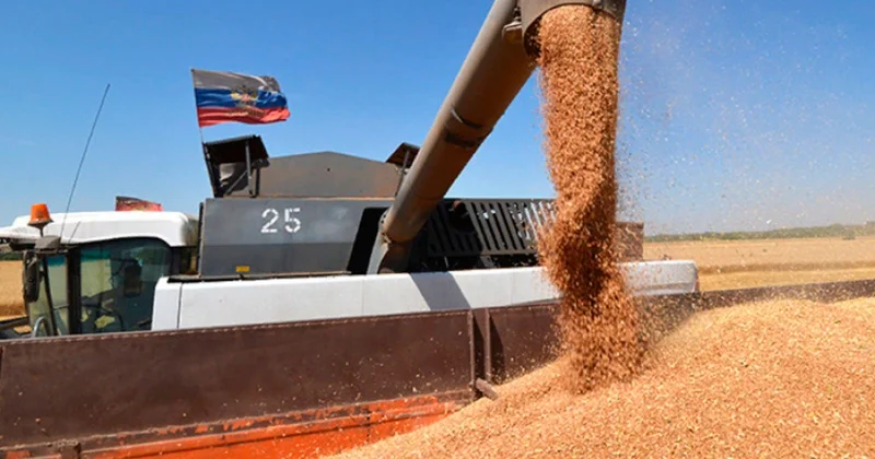 Paşinyandan Rusiyanın taxıl iddiasına REAKSİYA