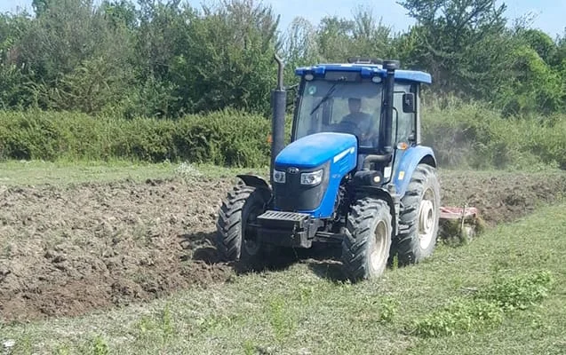 Salyanda 6,5 min hektardan çox payızlıq bitkilər əkilib