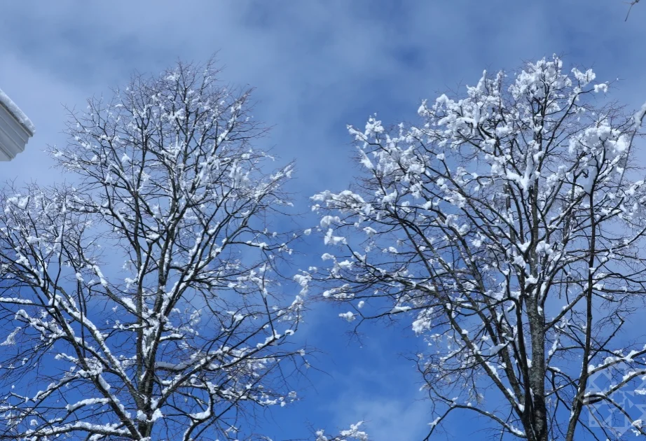 Hava şəraiti kəskin dəyişəcək, temperatur 510 dərəcə enəcək AZƏRTAC