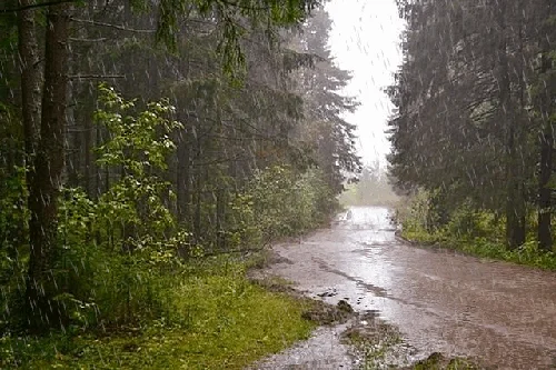 Azərbaycanda havanın temperaturu 510 dərəcə aşağı enəcək XƏBƏRDARLIQ