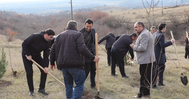 В Ходжалы прошла акция по посадке деревьев по случаю Дня памяти Гейдара Алиева