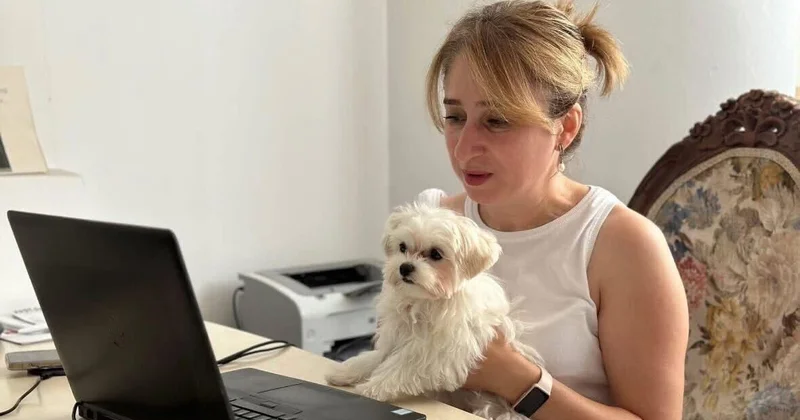 Həbsdəki jurnalistdən gözlənilməz vəsatət