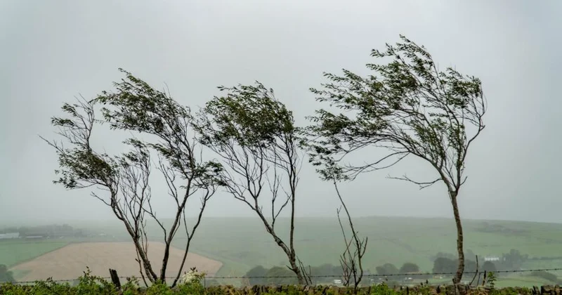 Əhaliyə xəbərdarlıq edildi: bu tarixlərdə güclü külək əsəcək