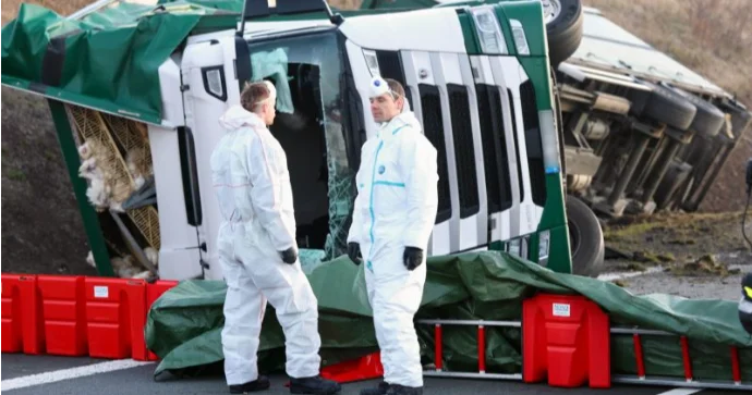 Yük maşını aşdı, 5 min toyuq yük yerindən qaçdı FOTO