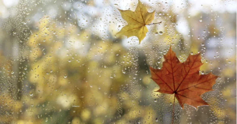 Bu ərazilərə yağış yağıb