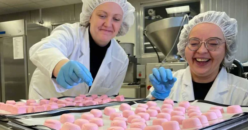 Finlandiyada qida məhsullarının həddindən artıq uzun müddət ərzində saxlanması üçün texnologiyalar sınaqdan keçirilir