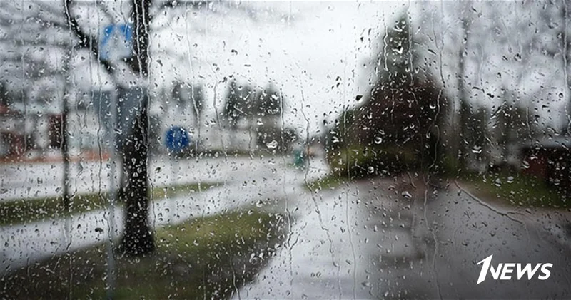 Дождливая погода и густой туман охватили ряд регионов страны