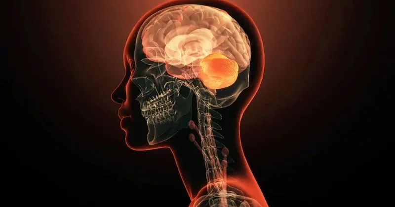 Xatirələriniz gerçək deyil: Beyniniz hər dəfə onları yenidən yazır!