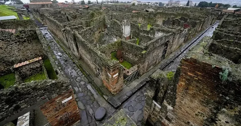 Niyə Pompeydə kölələr azad adamlardan yaxşı yaşayırdı?
