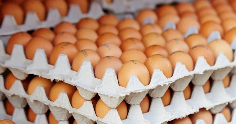 Yumurtanın qiyməti niyə artdı?