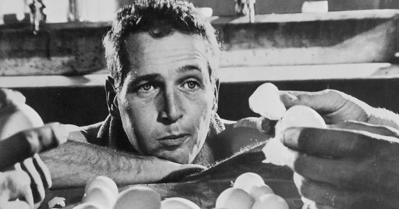 Yumurtanın inanılmaz faydaları Alimlərdən yeni araşdırma