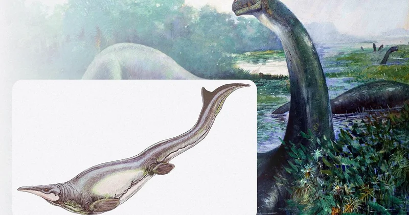 Milyonlarla il əvvəl dünyada dinozavrları yeyən dəniz sürünəni yaşayıb