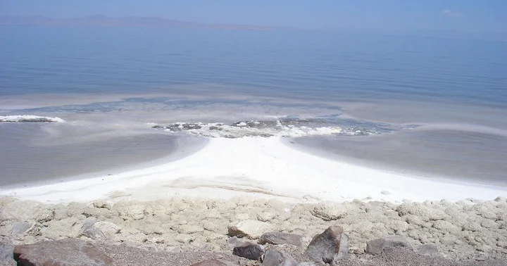 Urmu gölü canlanıb? Hökumət rəsmisi təkzib etdi