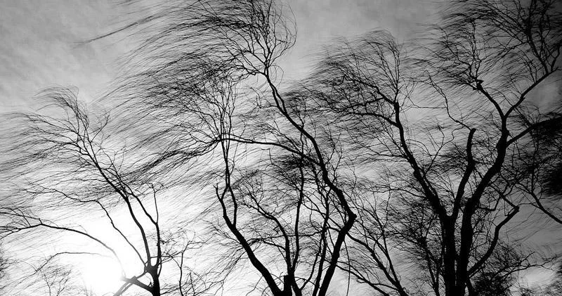 Həftəsonu Azərbaycanda güclü külək əsəcək XƏBƏRDARLIQ