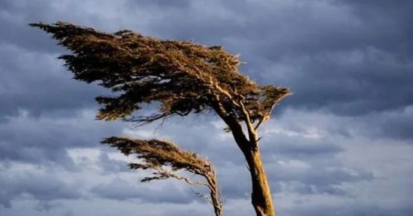 Güclü külək əsəcək Sarı və narıncı xəbərdarlıq