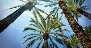 22 yaşlı qızdan qeyri adi rekord