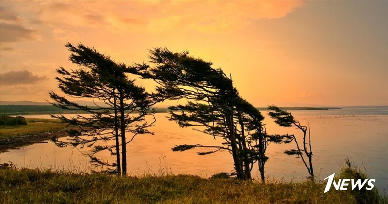 Погода на субботу: В Баку усилится ветер