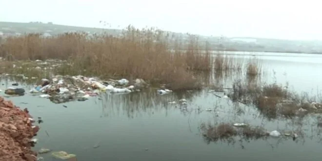 Abşeronda göl daşıb, Bakıxanov küçəsində həyətləri, evləri su basıb VİDEO