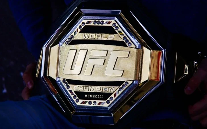 Калифорнийские пожары ставят под сомнение проведение UFC 311 в ЛосАнджелесе Новости Азербайджана