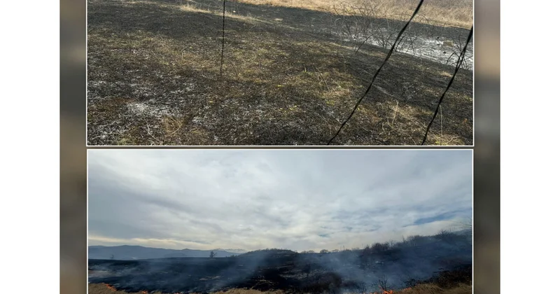 Xocalıda yanğına səbəb olan şəxs saxlanılıb FOTO