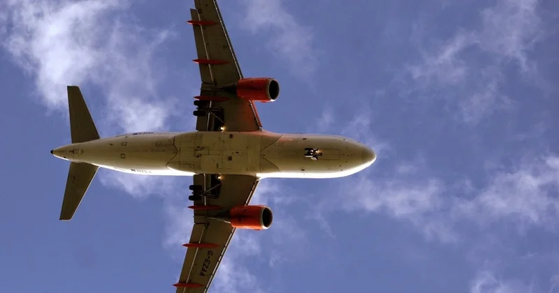 IATA: Спрос на пассажирские авиаперевозки в ноябре вырос почти на 6%