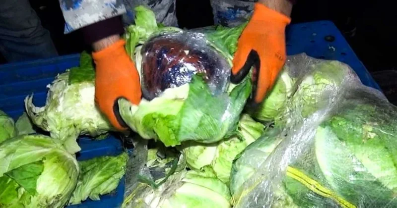 Что азербайджанские таможенники нашли в капусте? видео