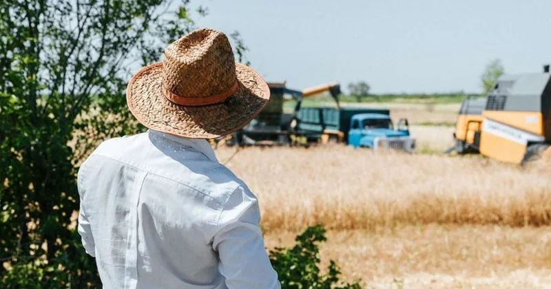 FERMERLƏRDƏN PREZİDENTƏ ŞİKAYƏT: "Pulumuzu ala bilmirik" VİDEO