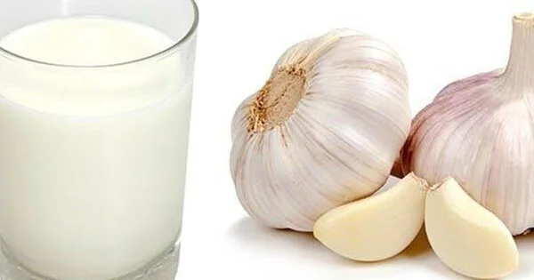 Südlü sarımsaq: ən təsirli və ucuz vasitə!