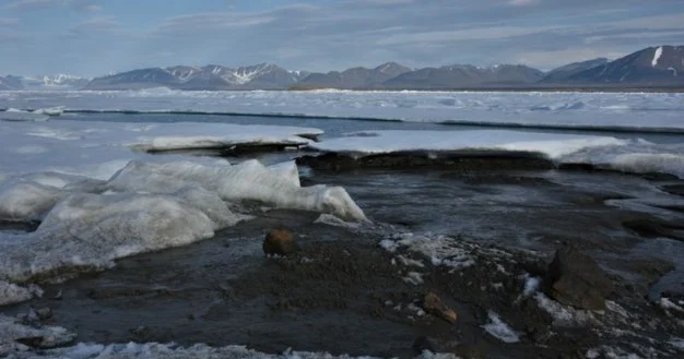 Гренландия выбирает Данию и НАТО, а не США Minval Politika