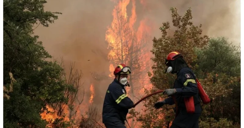 Убытки от природных катастроф в 2025 году снизились на 40%