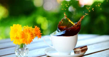 Qəhvəni balıqla əvəzlə: niyə?