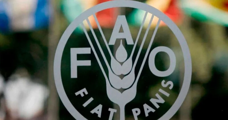 Türkmənistanda BMT nin konfransı keçiriləcək