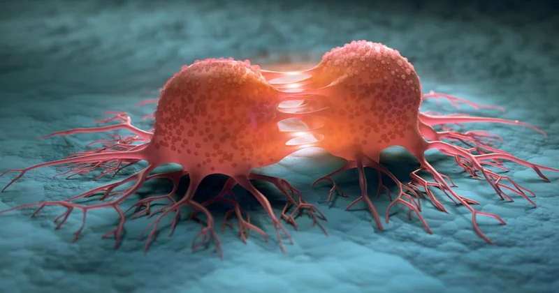 Bu, xərçəng yaradırmış Həkimdən XƏBƏRDARLIQ