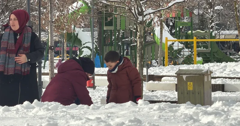 Güclü qardan sonra türklərin bu davranışı diqqət çəkdi FOTO