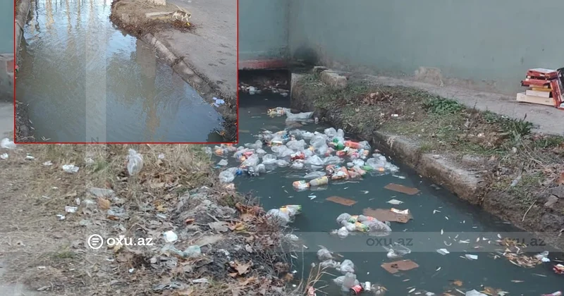 Göyçayın mərkəzindəki antisanitar vəziyyətdən ŞİKAYƏT: Qurum hərəkətə keçdi