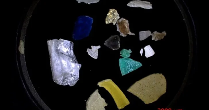 Микропластик из бутылок может напрямую повреждать поджелудочную, выяснили ученые