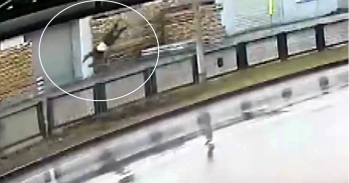 Keçiddə 84 yaşlı kişini vurub öldürən sürücü həbs edildi ANBAAN VİDEO