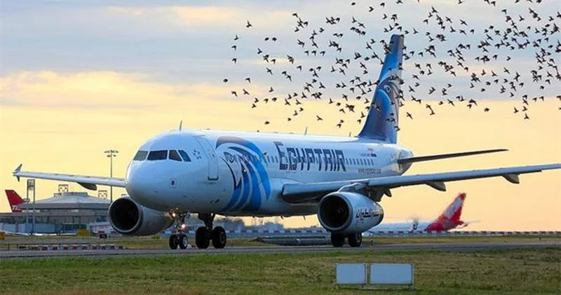 Ermənistan üzərindən Bakıya uçan təyyarədə kim olub? FOTO