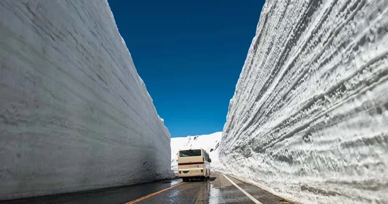 20 metrlik qar divarları arasında səyahət: Yaponiyanın ağ labirinti necə açılır?