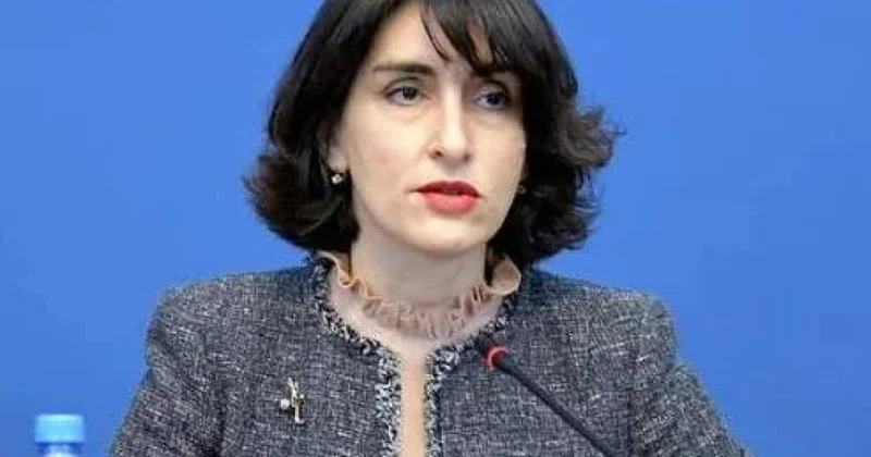 Министр иностранных дел Грузии: Развитие Среднего коридора имеет для нас жизненно важное значение